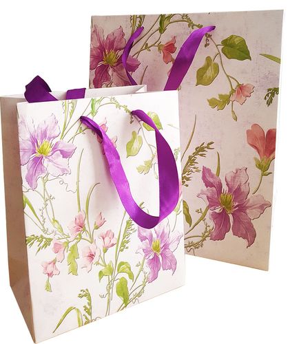 精品韩版时尚手提纸袋 白卡纸礼品袋 时尚购物服装手提纸袋定.